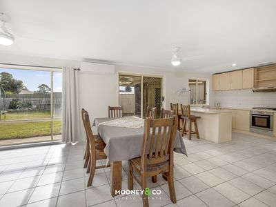 12 Terrence Drive, Cranbourne North