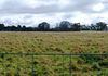 1083 Forest Road, Orange