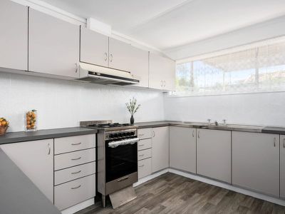 102 Wittenoom St, West Lamington