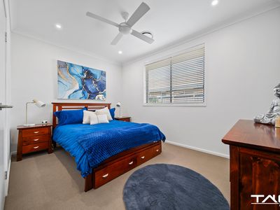 12 Avocet Circuit, Cranebrook