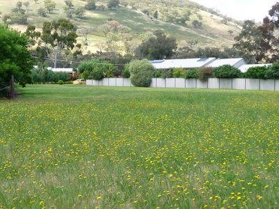 4 Larsen Court, Tallangatta