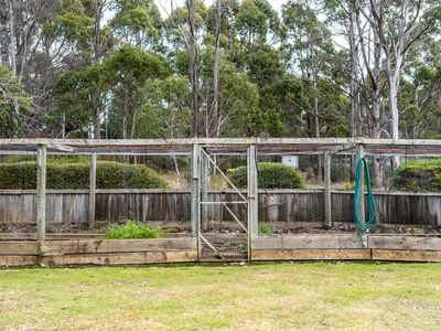 8 Brewis Place, Lake Leake