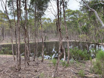 Lot 12 Heathcote-Nagambie Road, Moormbool West