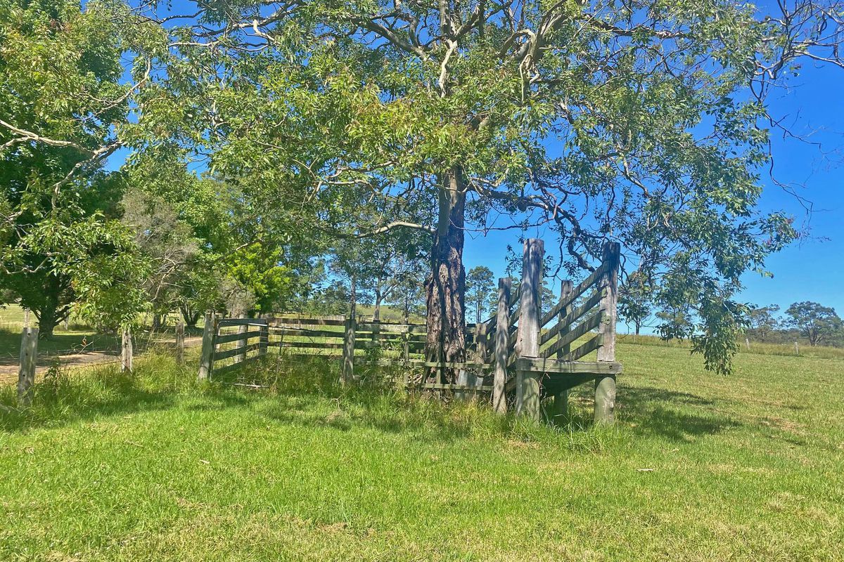 3 Jacks Road, Killawarra