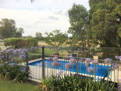 167 Tynan Road, Table Top