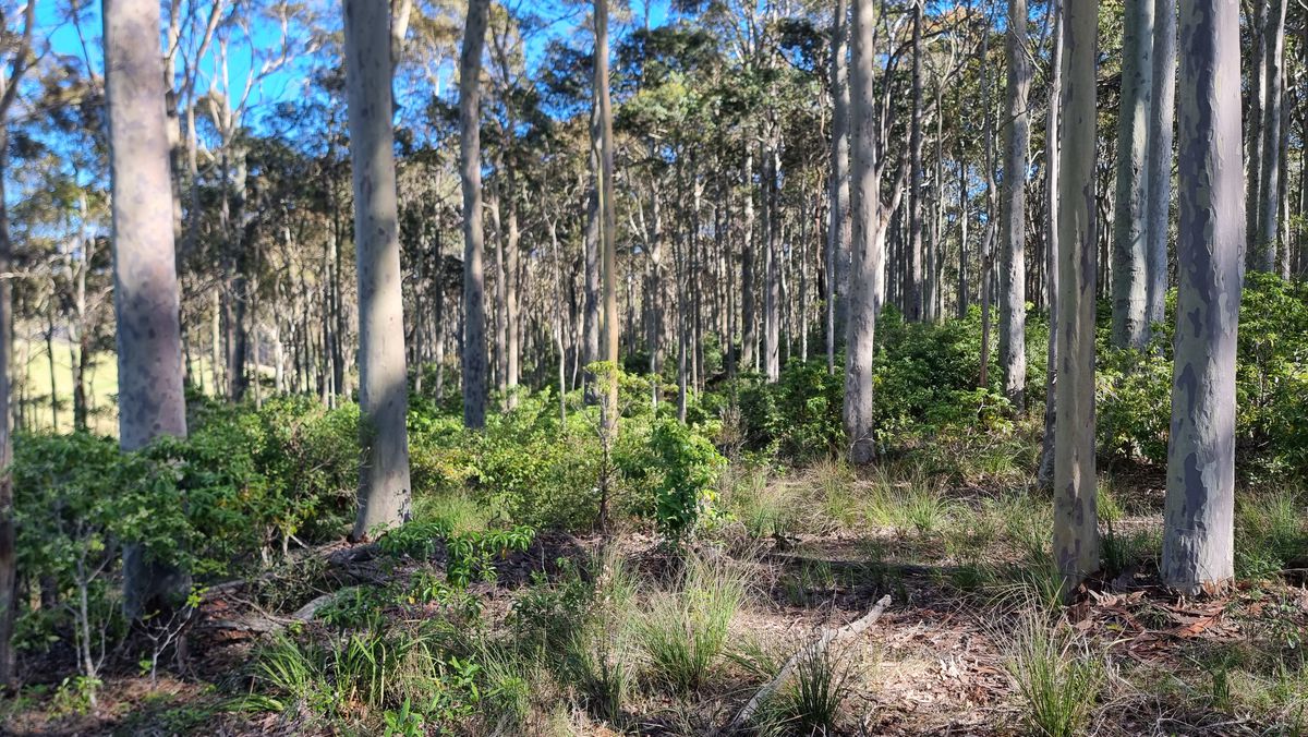 Lot 16, Mystery Bay Road, Mystery Bay