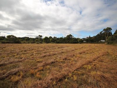216 Lune River Road, Lune River
