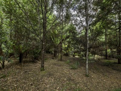 243 Judds Creek Road, Judbury