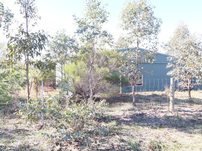 Lot 11  Lot 11  Davis Road, Mount Camel