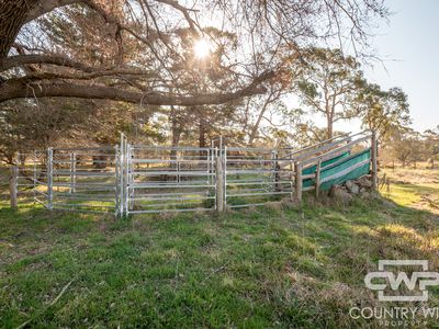 52 Lahara Road, Glen Innes