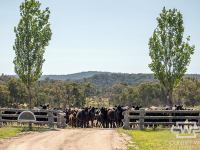 391 Carrot Farm Road, Deepwater