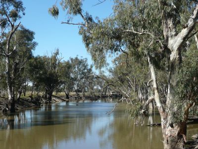 Deniliquin Road, Barham