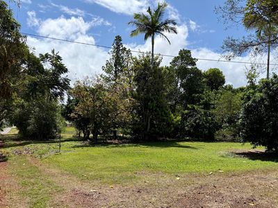 443 EUBENANGEE ROAD, Eubenangee