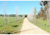 2013 Cargo Road, Orange