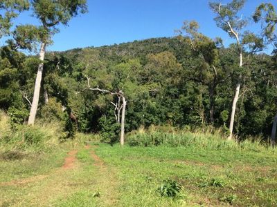 16 Rainforest Street, Cooktown