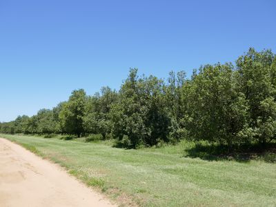 Lot 6 Cook Road, Glass House Mountains