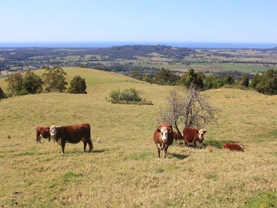 373 Kangaroo Valley Rd, Berry