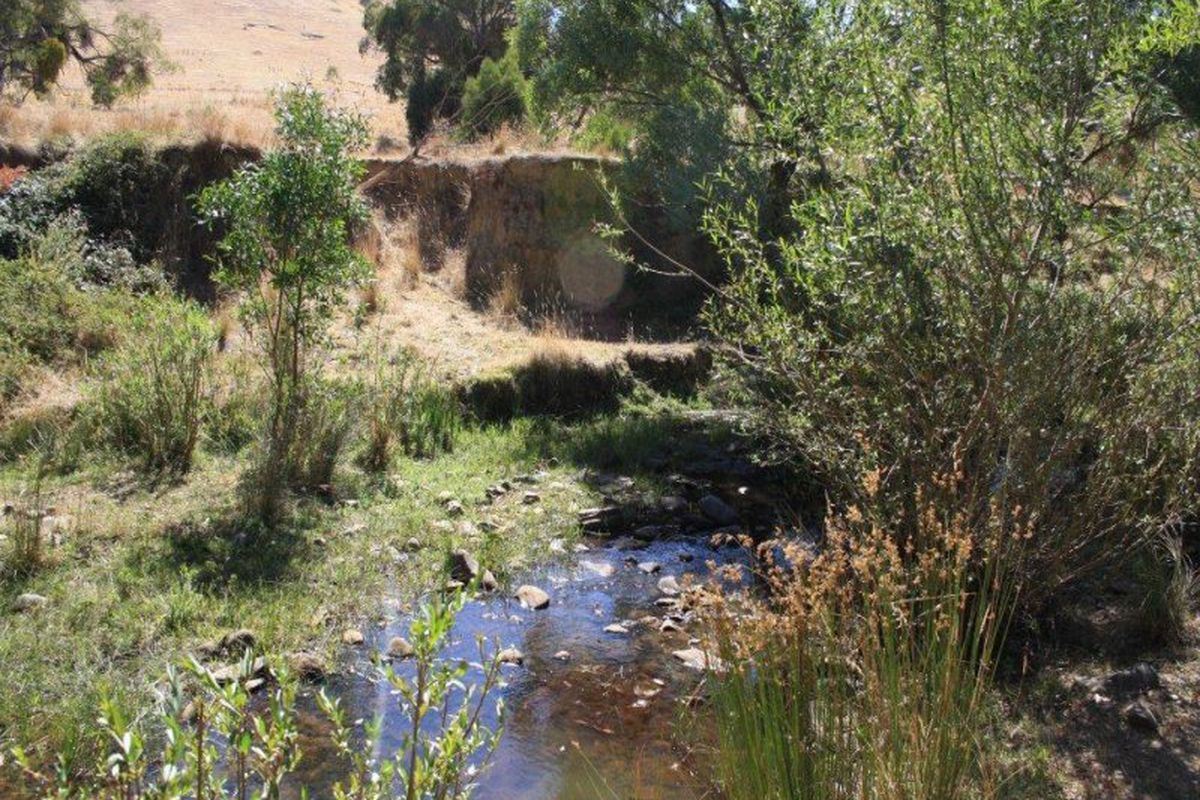 534 Dry Creek Road, Bonnie Doon