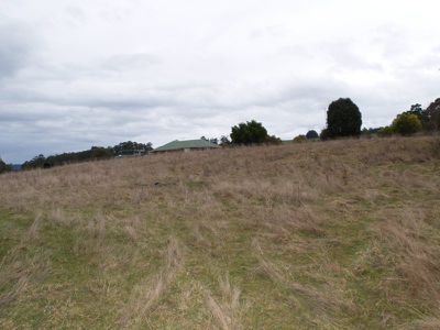 53 Chitty's Road, Franklin