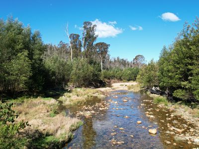 115 Gulph Creek Road, Nerrigundah