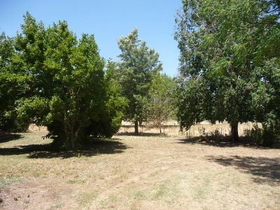 309 Tallangatta Creek Road, Tallangatta Valley