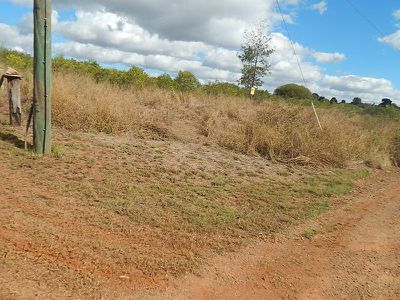 Lot 3, Wallison Road, Nanango