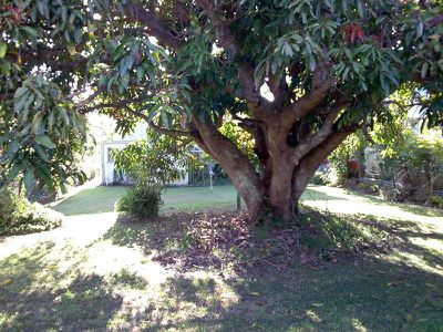21 Tweed Street, Brunswick Heads