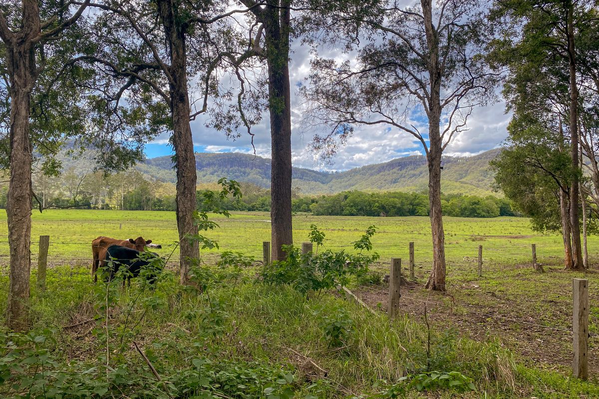 Lot 6, Central Lansdowne Road, LANSDOWNE VIA , Taree