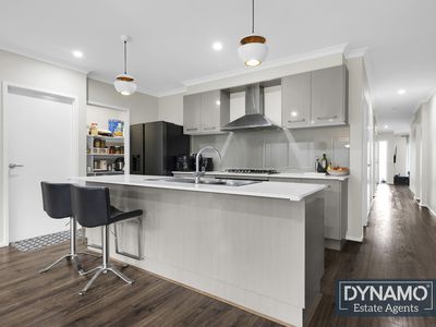 4 Livestock Street, Mernda
