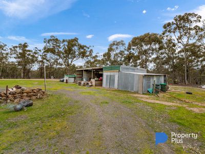 59 Williamsons Road, Laanecoorie