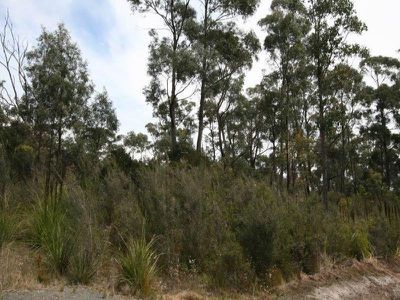 140 Esperance Coast Road, Surges Bay