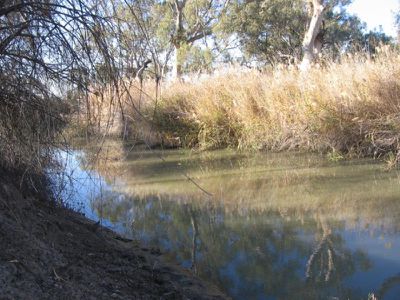 Lake Charm