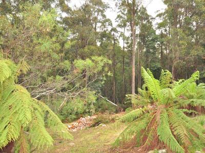 294 Brittains Road, Garden Island Creek