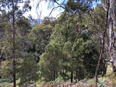 Lot 4, Lightwood Creek Road, Glen Huon