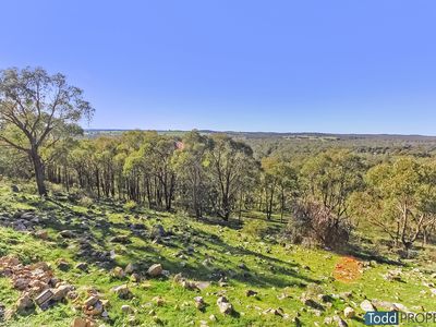 88-106 Stoddart Road, Mount Camel