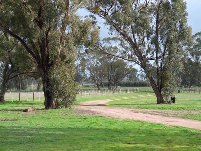 668 Walsh Rd, Horsham