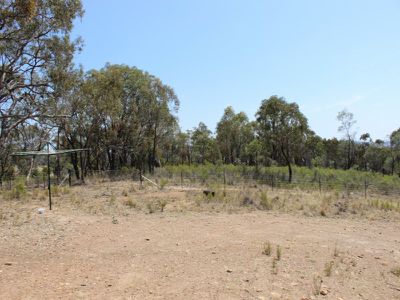 Fitzgeralds Mount