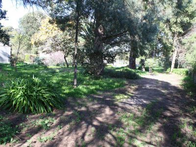 169 Williams Road, Millicent