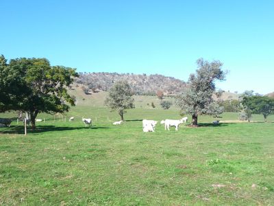 Murray Valley Highway, Huon