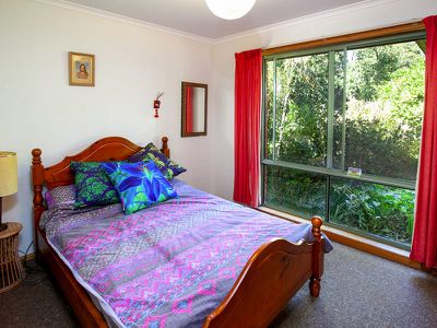 1151 Indigo Creek Road, Indigo Valley