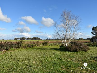 1194 Wangaratta-Eldorado Road, Londrigan