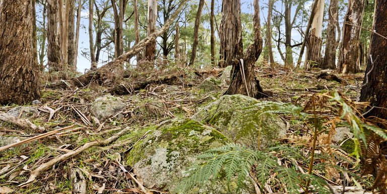 Lot 1 & 2 McCombes Road, Creek Junction