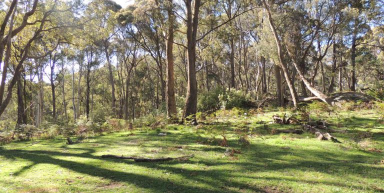 11 / Tames Road, Strathbogie
