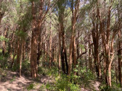 87 Middleton Close, Shadforth