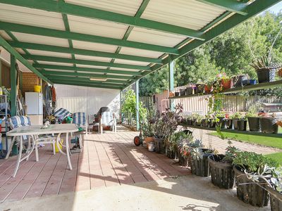13 Lindisfarne Court, Thurgoona