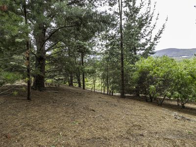 Lot 2, Fyfes Road, Mountain River