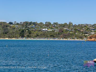12 Olive Street, Mornington