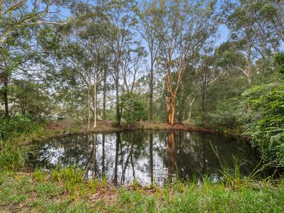 644 Sussex Inlet Road, Sussex Inlet