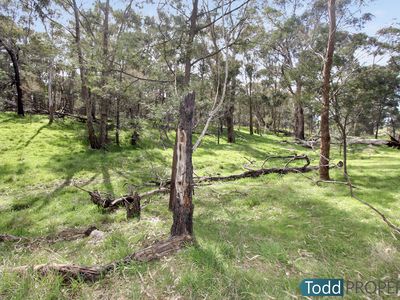 330 Paddys Dam Road, Tooborac