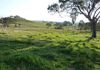 119 Allambie Road, Orange